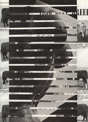 The Cross Art Projects, Artist Exhibition. Feminage: The logic of feminist collage — 2 August to 15 Sept 2012